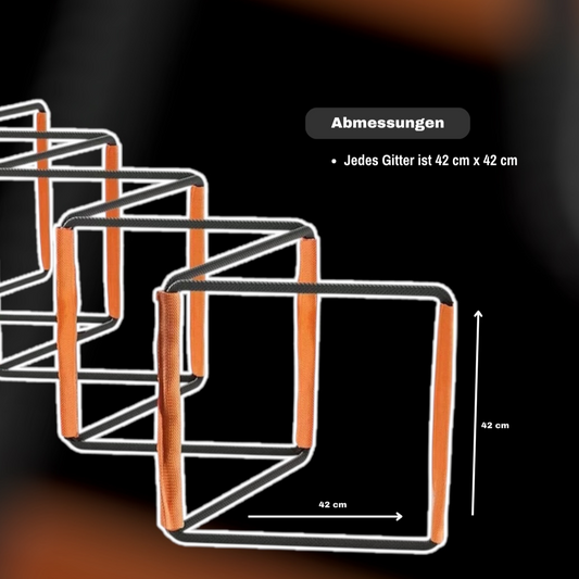 AgilityMaster- Trainingsleiter